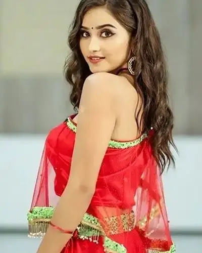 Call Girls Service Allapur